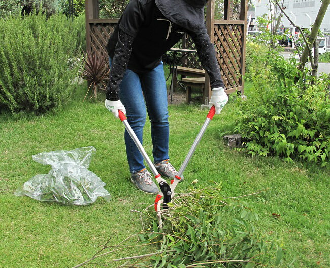 兵庫県三木市の画像3