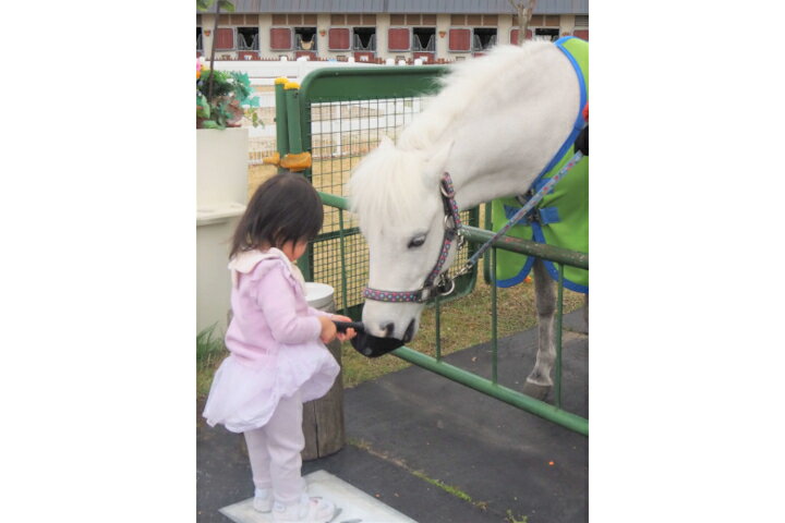 �ڤդ뤵��Ǽ�ǡ۽��񡦥ۡ����ȥ�å��󥰥��å����ѷ�