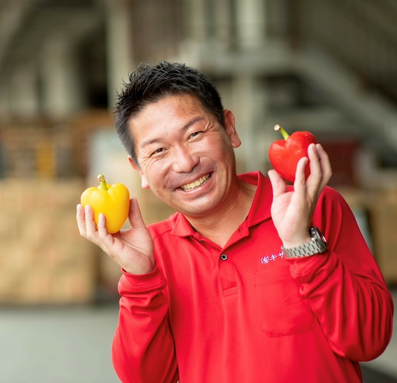 【ふるさと納税】新鮮野菜のお届けによる見守りサービス（1ヶ月2回お届け） 一人暮らし 笑顔と共に 家族愛 見守り 新鮮野菜【 兵庫県 高砂市 】