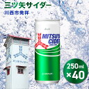 【ふるさと納税】三ツ矢サイダー缶250ml 40本(20本入×2ケース)No.386 KWNQ003 / サイダー ジュース 炭酸 飲料 缶 まとめ買い ケース買い アサヒ 人気 定番 有名 送料無料 兵庫県 川西市