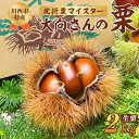 【ふるさと納税】《先行予約》 数量限定 北摂栗マイスターが育てた 川西特産北摂栗 銀寄 2kg 【2025年11月上旬頃発送】 No.222 / くり 秋の味覚...