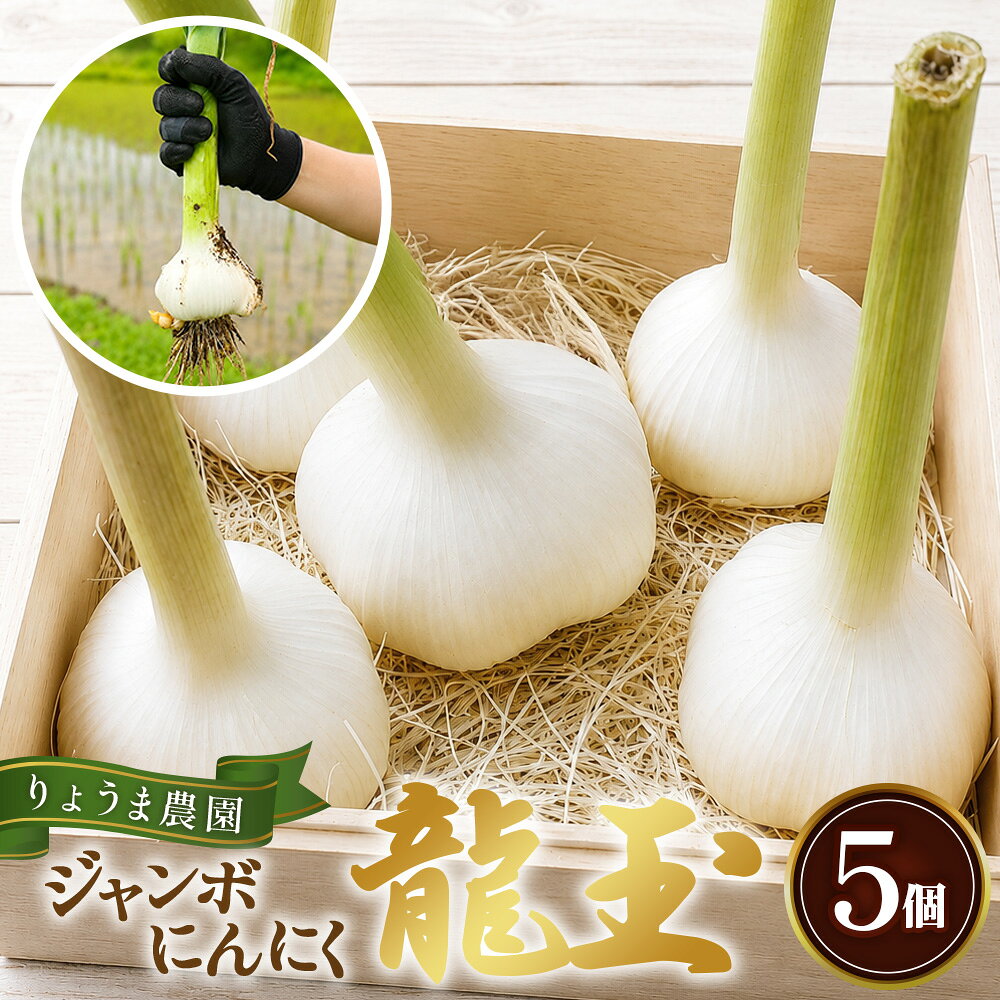ジャンボニンニク「龍玉」無臭にんにく / にんにく ガーリック 龍玉 大粒にんにく 食べ応え にんにく料理 ホイル焼き ガーリックステーキ 丸ごとにんにく ごろっとにんにく 国産 産地直送 送料無料 兵庫県 No.562