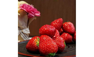 【ふるさと納税】大粒いちご12〜15粒入りセット 【果物類・いちご・苺・イチゴ】 お届け:2019年1月7日〜3月末まで