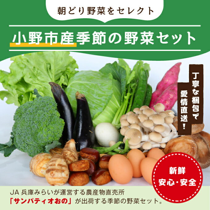 【ふるさと納税】小野市産季節の野菜セット！　【野菜類 セット 詰合せ】