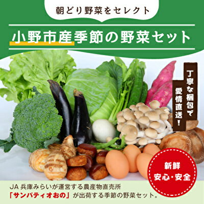 【ふるさと納税】小野市産季節の野菜セット！　【野菜類 セット 詰合せ】のサムネイル