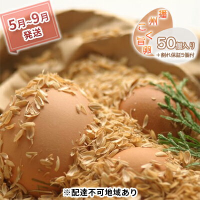 【ふるさと納税】卵 播州こく旨卵 50個入り＋割れ保証5個付 高級 たまご 鶏卵 高級卵 高級たまご ビタミンE ビタミン TKG 卵かけご飯 送料無料 冷蔵 冷蔵配送 兵庫 兵庫県 小野市 5月～9月発送　お届け：2024年5月1日～2024年9月30日