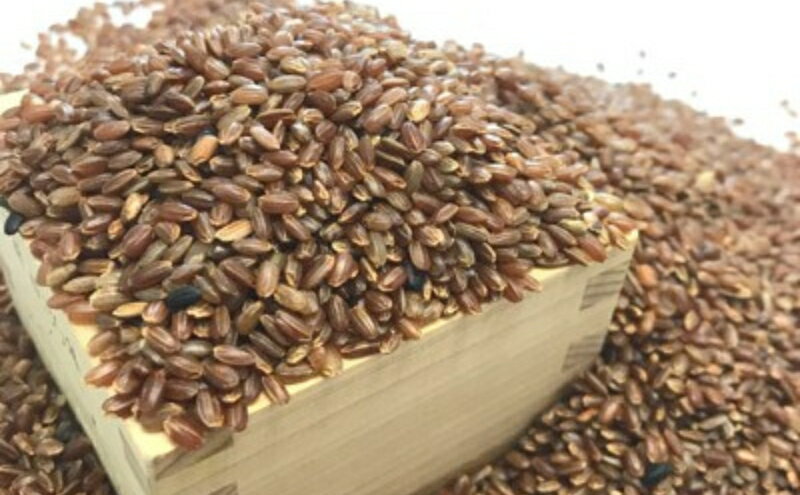 【ふるさと納税】きすみの 古代米 食べ比べ 4種各2袋（計8袋）セット お米 雑穀 食べくらべ