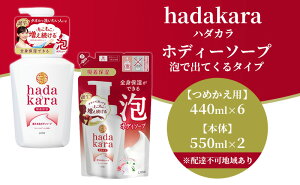 【ふるさと納税】hadakara ( ハダカラ ) オリジナルセット 泡タイプ《本体×2本、つめかえ用×6袋》[ ライオン LION ボディソープ ] 【石鹸 液体せっけん つめかえ用 本体 ボディーソープ ハダカラ 保湿成分 泡タイプ】