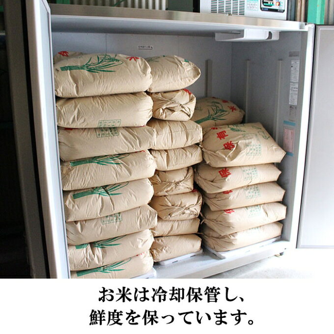 【ふるさと納税】米 ひのひかり 選べる 白米 玄米 30kg お米 単一原料米 銘柄米 ブランド米 30キロ 新米 精米 産地直送 令和7年 令和7年産 小野市産100％ 兵庫県産 兵庫 兵庫県 小野市 f282189-ono-10000778 兵庫県小野市 サンプル画像3