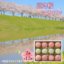 【ふるさと納税】逆さ桜 マカロン 2種 食べ比べ 計12個[ スイーツ 洋菓子 焼菓子 ]　【 お菓子 おやつ ティータイム さくらのマカロン さくら味 さくらの葉塩漬け味 贈答用 ギフト 手土産 自宅用 】