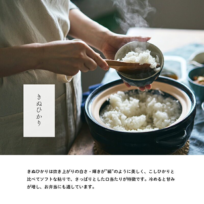【ふるさと納税】無洗米 キヌヒカリ 10kg ( 5kg ×2袋) 小分け 米 お米 精米 白米 銘柄米 ブランド米 10キロ 産地直送 兵庫県産 兵庫 兵庫県 小野市 f282189-ono-10001003 兵庫県小野市 サンプル画像3