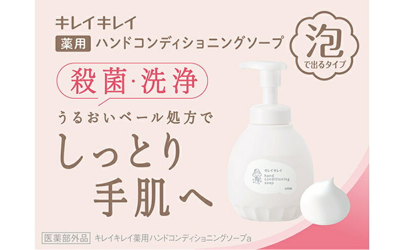 【ふるさと納税】【選べる内容量】ハンドソープ 泡 キレイキレイ 薬用 ハンドコンディショニングソープ 本体 450ml 詰替 700ml やさしいせっけんの香り 泡ハンドソープ 薬用 日用品 大容量 LION 泡石鹸 石鹸 兵庫県 小野市　美容 コスメ 香水 ボディケア ハンドソープ