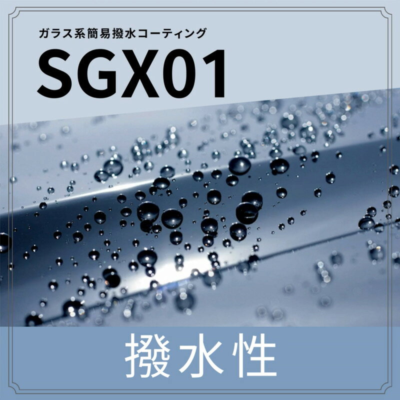 【ふるさと納税】ガラス系コーティング SGX01 業務用 420mL