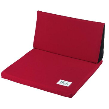 【ふるさと納税】D0303ボディドクターマルチフィットポント(ダークレッド) ※工場見学ツアー券付