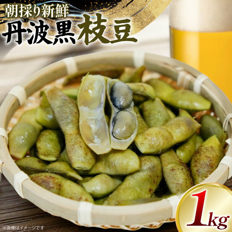 【ふるさと納税】 丹波黒 枝豆 1kg【2026年10月前半〜10月後半配送】 [SSSファーム 兵庫県 三田市 3d28bed520001] 枝豆 えだまめ 丹波 黒枝豆 黒豆 国産 野菜 おつまみ