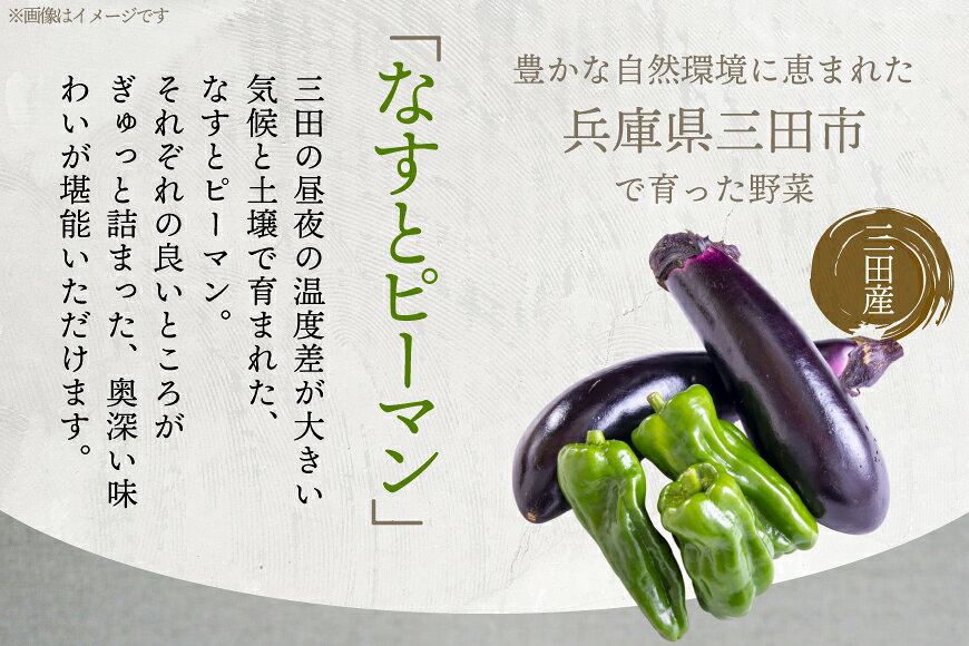 サンプル画像2