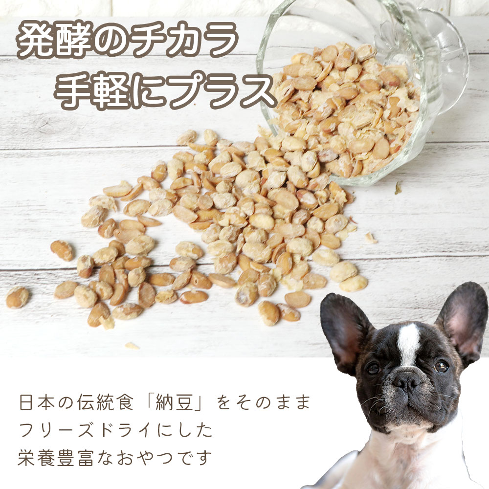 【ふるさと納税】 ドッグフード わんのはな フリーズドライ 納豆 選べる 内容量 15g 45g 180g [ZANASHOP 兵庫県 三田市 3d28bae280084] 犬 ペット ペットフード 餌 エサ ドライ おやつ しつけ 栄養満点 国産 メール便 クリポス メール便対応 ふるさと納税 f282197-sanda-10001138 兵庫県三田市 サンプル画像3