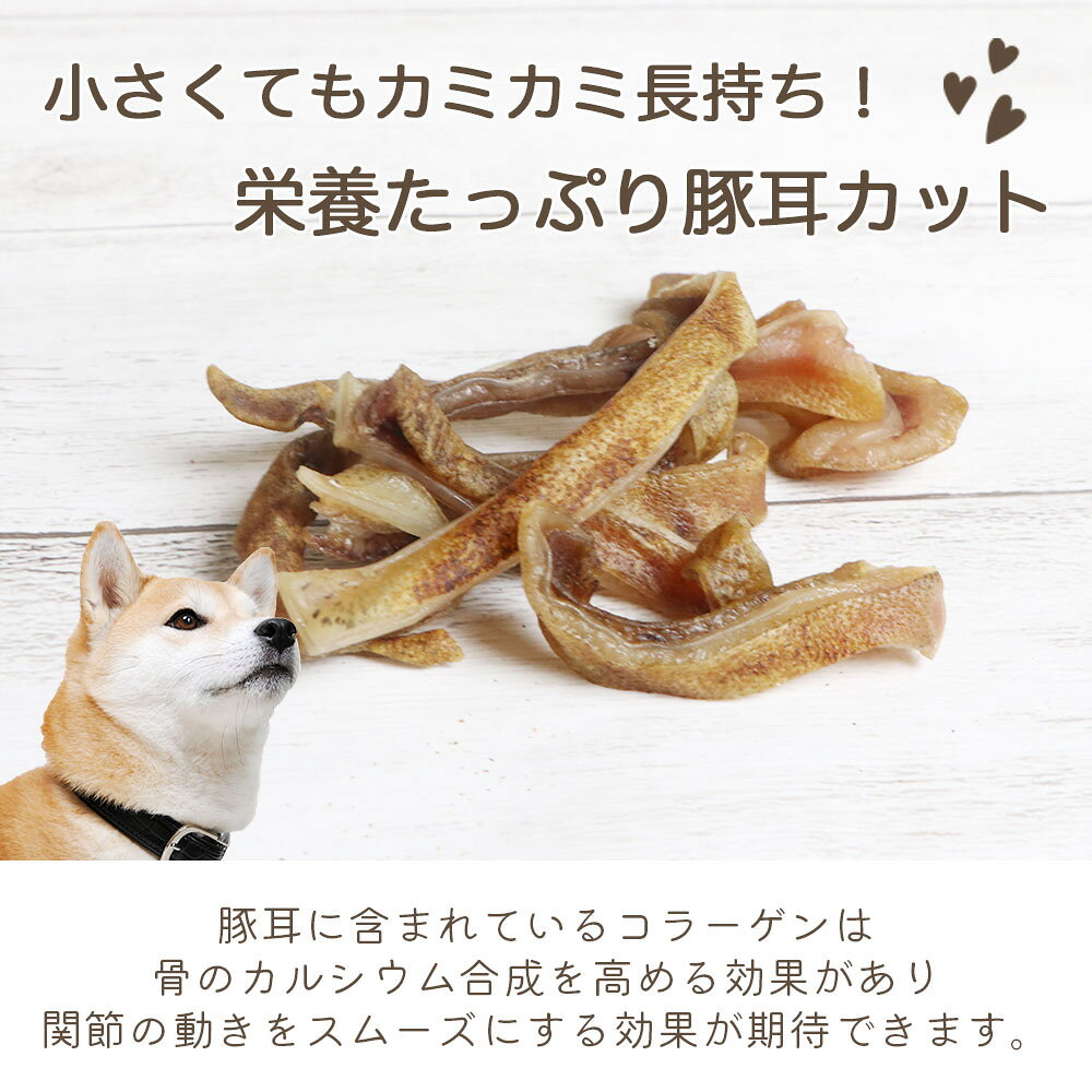 【ふるさと納税】 ドッグフード わんのはな 豚耳 小さめ カット 選べる 内容量 25g 65g 300g [ZANASHOP 兵庫県 三田市 3d28bae280116] 犬 ペット ペットフード 餌 エサ 小型犬 おやつ しつけ 国産 カリカリ メール便 クリポス メール便対応 ふるさと納税 f282197-sanda-10001136 兵庫県三田市 サンプル画像3