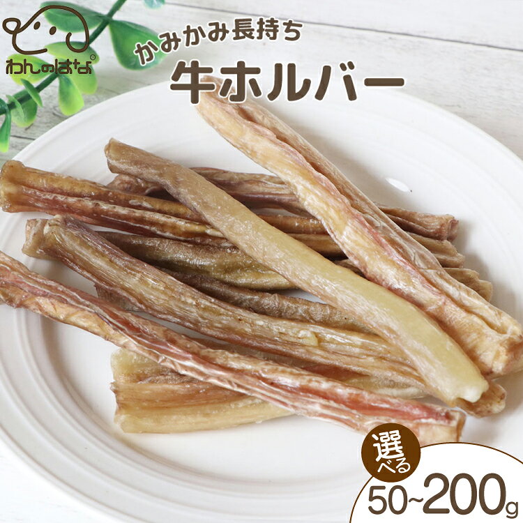 ドッグフード わんのはな 鶏 とさか 丸ごと