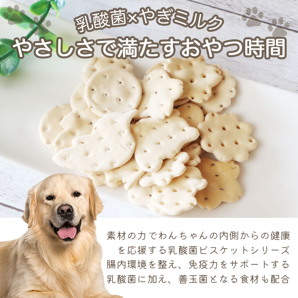 【ふるさと納税】 ドッグフード わんのはな 乳酸菌 ビスケット やぎみるく 選べる 内容量 20g 50g 200g [ZANASHOP 兵庫県 三田市 3d28bae280225] 犬 餌 エサ えさ おやつ ペット ドッグ フード ペットフード 小型犬 国産 ヤギミルク 手作り メール便 ふるさと納税 f282197-sanda-10001176 兵庫県三田市 サンプル画像3