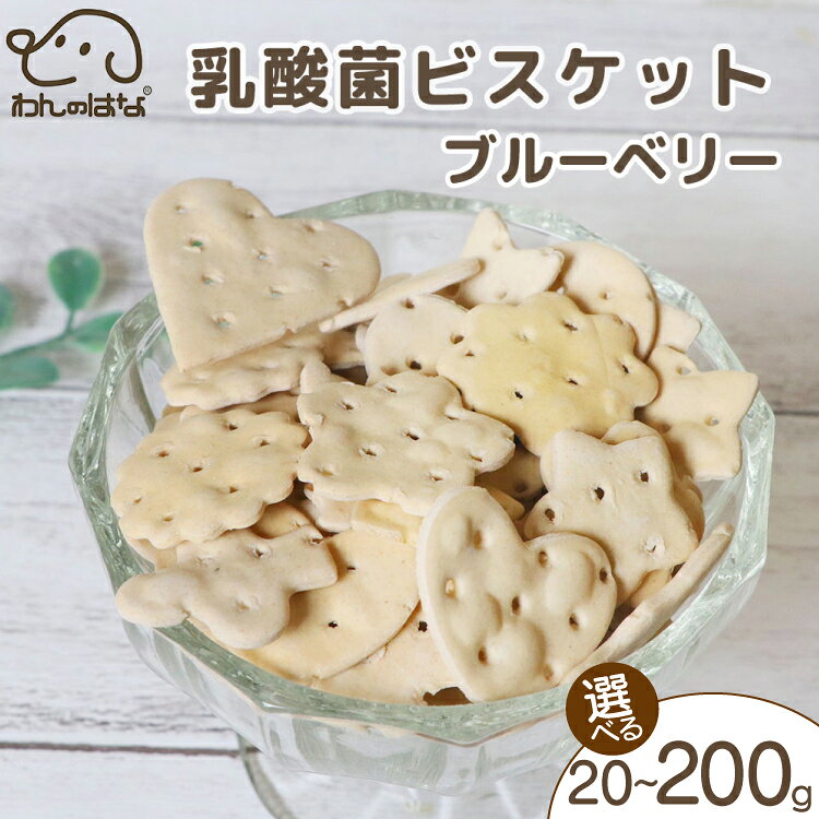 ドッグフード わんのはな 乳酸菌 ビスケット