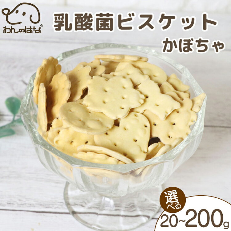 【ふるさと納税】 ドッグフード わんのはな 乳酸菌 ビスケット かぼちゃ 選べる 内容量 20g 50g 200g [ZANASHOP 兵庫県 三田市 3d28bae280229] 犬 餌 エサ えさ おやつ ペット ドッグ フード ペットフード 国産 野菜 オリゴ糖 手作り メール便 クリポス ふるさと納税 f282197-sanda-10001133 兵庫県三田市 パッケージ画像