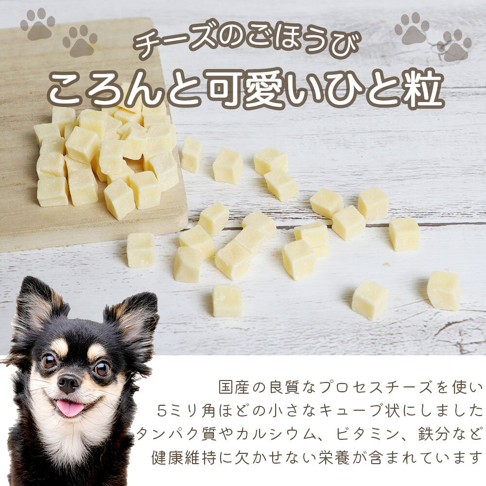 【ふるさと納税】 ドッグフード チーズ わんのはな ご褒美カリっとチーズcube 選べる内容量 20g 50g 200g [ZANASHOP 兵庫県 三田市 3d28bae280242] ドッグ ペット ペットフード 餌 エサ おやつ しつけ ご褒美 カリッ キューブ キューブ状 国産 メール便 ふるさと納税 f282197-sanda-10001159 兵庫県三田市 サンプル画像3