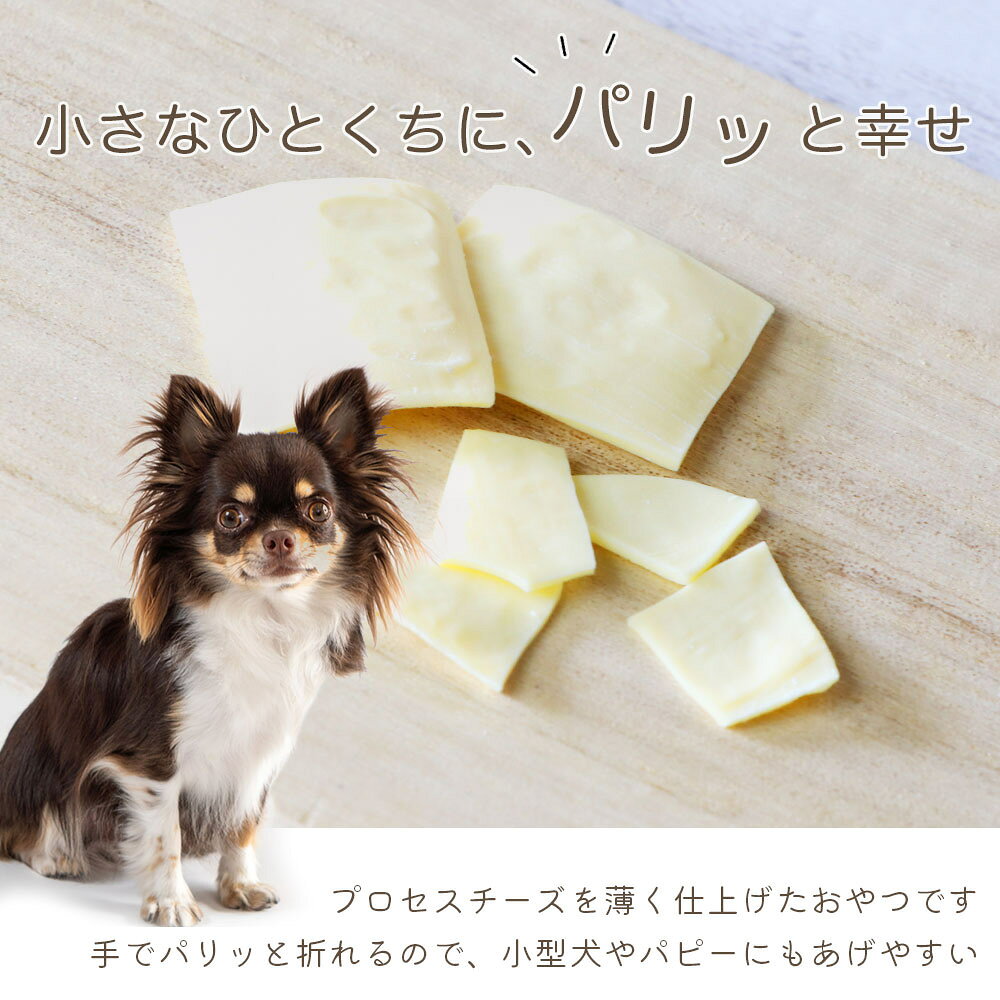 【ふるさと納税】 ドッグフード チーズ わんのはな ご褒美パリッと薄切りチーズ 選べる 内容量 18g 45g 180g [ZANASHOP 兵庫県 三田市 3d28bae280243] ドッグ ペット ペットフード 餌 エサ おやつ しつけ ご褒美 パリッ 薄切りチーズ 国産 メール便 ふるさと納税 f282197-sanda-10001161 兵庫県三田市 サンプル画像3