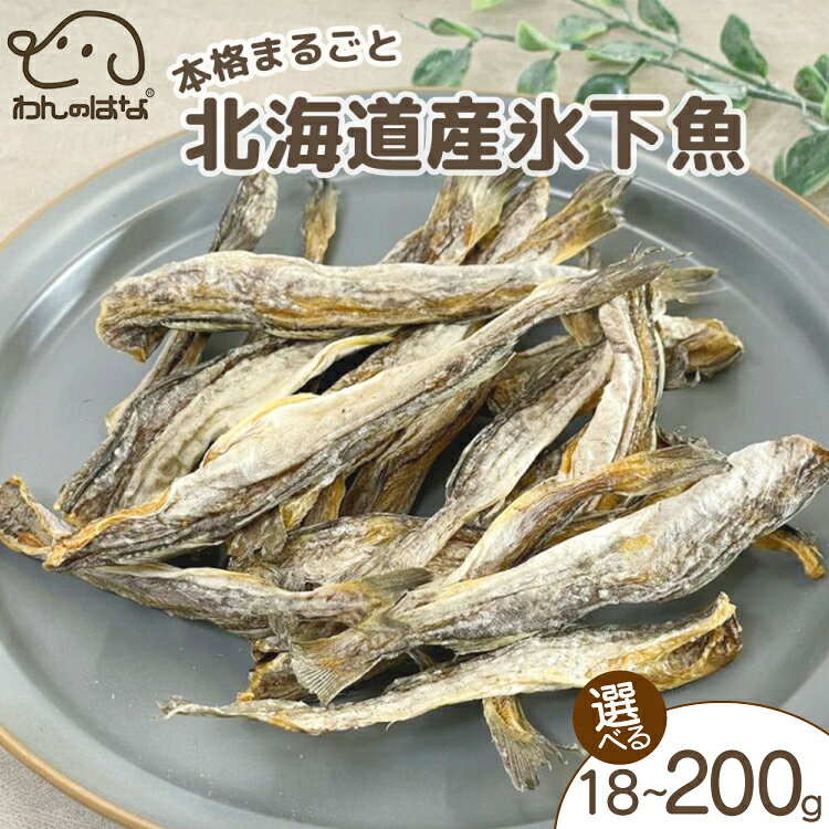 【ふるさと納税】 ドッグフード 魚 わんのはな 本格まるごと北海道産氷下魚(こまい) 選べる 内容量 18g 45g 200g [ZANASHOP 兵庫県 三田市 3d28bae280247] ドッグ ペット ペットフード 餌 エサ おやつ しつけ ご褒美 さかな サカナ スティック 国産 ふるさと納税 f282197-sanda-10001157 兵庫県三田市 パッケージ画像