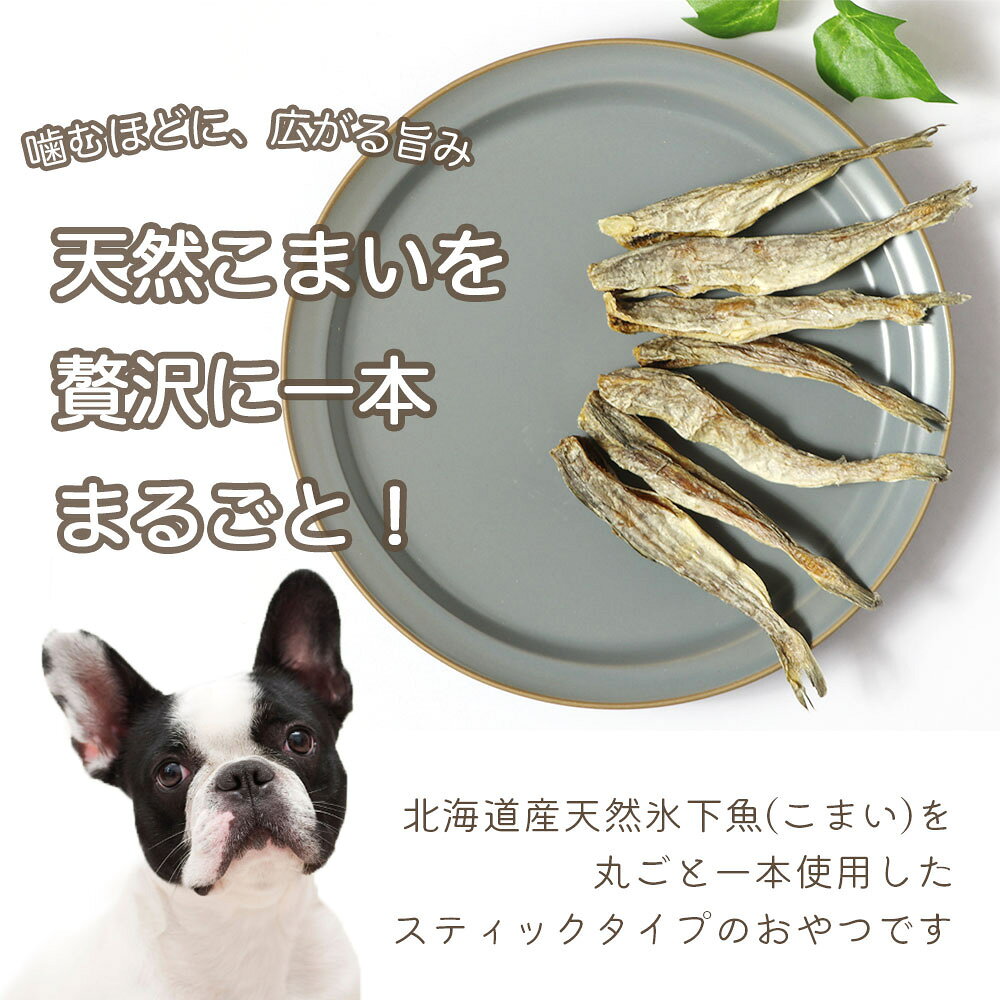 【ふるさと納税】 ドッグフード 魚 わんのはな 本格まるごと北海道産氷下魚(こまい) 選べる 内容量 18g 45g 200g [ZANASHOP 兵庫県 三田市 3d28bae280247] ドッグ ペット ペットフード 餌 エサ おやつ しつけ ご褒美 さかな サカナ スティック 国産 ふるさと納税 f282197-sanda-10001157 兵庫県三田市 サンプル画像3