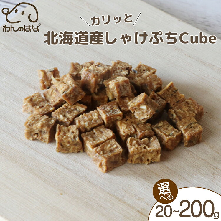 【ふるさと納税】 ドッグフード わんのはな 鮭 ぷちcube 選べる 内容量 20g 50g 200g [ZANASHOP 兵庫県 三田市 3d28bae280257] 犬 餌 エサ えさ おやつ ペット ドッグ フード ペットフード さけ サケ 愛犬用 犬用おやつ 手作り 国産 メール便 クリポス ふるさと納税 f282197-sanda-10001147 兵庫県三田市 パッケージ画像