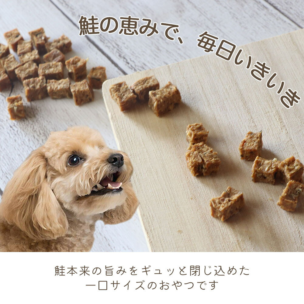 【ふるさと納税】 ドッグフード わんのはな 鮭 ぷちcube 選べる 内容量 20g 50g 200g [ZANASHOP 兵庫県 三田市 3d28bae280257] 犬 餌 エサ えさ おやつ ペット ドッグ フード ペットフード さけ サケ 愛犬用 犬用おやつ 手作り 国産 メール便 クリポス ふるさと納税 f282197-sanda-10001147 兵庫県三田市 サンプル画像3