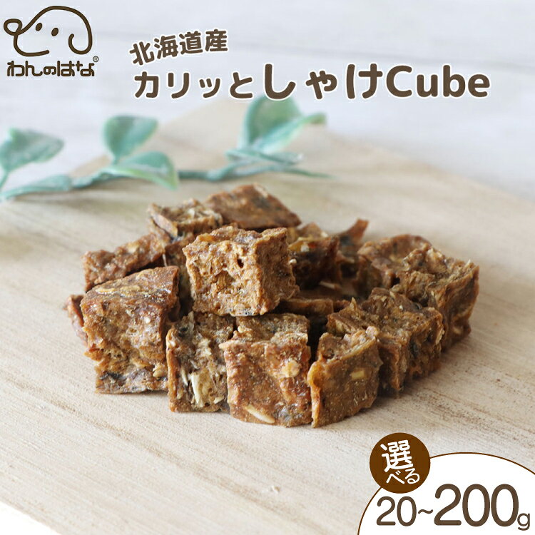 【ふるさと納税】 ドッグフード わんのはな 鮭 cube 選べる 内容量 20g 50g 200g [ZANASHOP 兵庫県 三田市 3d28bae280258] 犬 餌 エサ えさ おやつ ペット ドッグ フード ペットフード さけ サケ 愛犬用 犬用おやつ 手作り 国産 メール便 クリポス ふるさと納税 f282197-sanda-10001182 兵庫県三田市 パッケージ画像