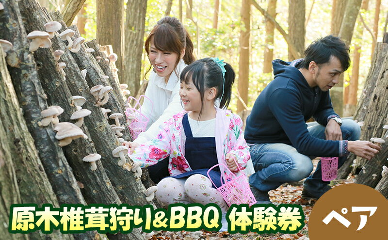 【ふるさと納税】原木椎茸狩り＆BBQペア体験券　【 体験チケット キノコ狩り 椎茸狩り体験 バーベキュー お出かけ アウトドア 自然 】 2