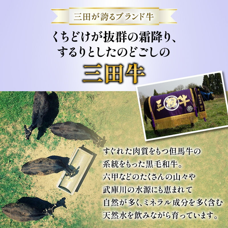 【ふるさと納税】 三田牛 切り落とし 500g...の紹介画像3