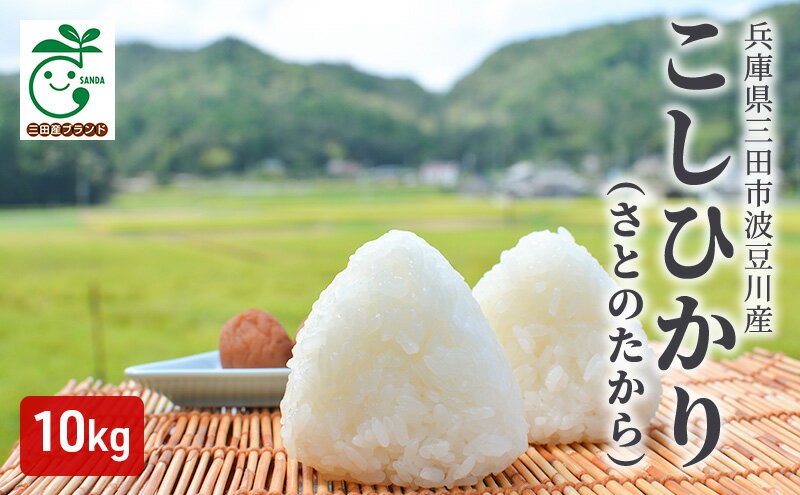 【ふるさと納税】兵庫県三田市波豆川産コシヒカリ（さとのたから）10kg　【 お米 白米 精米 ご飯 ブランド米 銘柄米 食卓 主食 おにぎり お弁当 和食 国産 日本産 兵庫県産 】