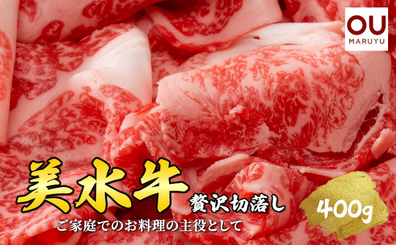 【ふるさと納税】 美水牛 贅沢 切落し ( 400g ( 200g×2 ) ) 牛肉 冷凍品 ギフト 肉 お祝い 但馬牛 神戸牛 三田牛 数量限定 訳あり ふるさと納税 ふるさと 人気 おすすめ 送料無料 兵庫県 三田市[ 3d28bae590011 ]