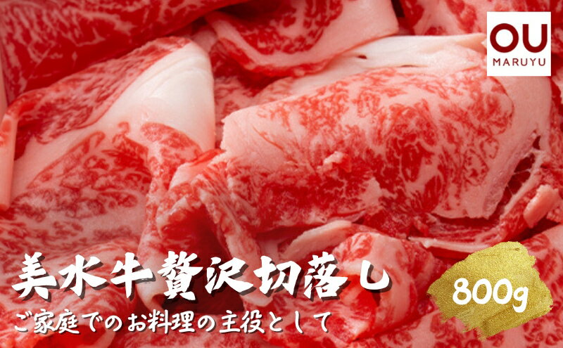 【ふるさと納税】美水牛贅沢切落し800g（200g×4）　（冷凍品）　【お肉・牛肉】