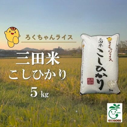 【令和5年度産】三田米コシヒカリ5kg　【 お米 精米 白米 ご飯 定評 伝統 光沢 美味い 粘り つや 香り 弾力 】