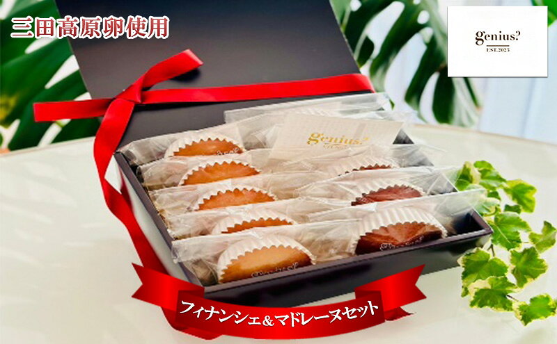 【ふるさと納税】 焼き菓子 フィナンシェ ＆ マドレーヌセット ( 三田高原卵使用 フィナンシェ5個 マドレーヌ5個 ) 洋菓子 焼き菓子 ヘルシー スイーツ ギフト 贈答 お菓子 おやつ 数量限定 訳あり 送料無料 兵庫県 三田市[ 3d28bae530011 ]