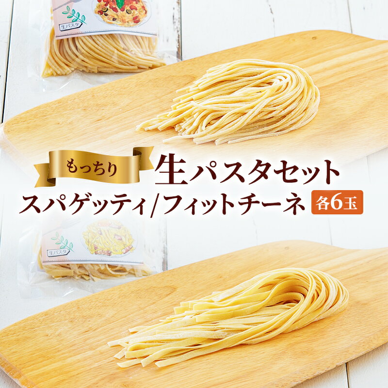 【ふるさと納税】もっちり生パスタセット　【 麺類 夕飯 夜ごはん ランチ お昼ごはん 生スパゲッティ もっちり フェットチーネ 平打ち生パスタ 】