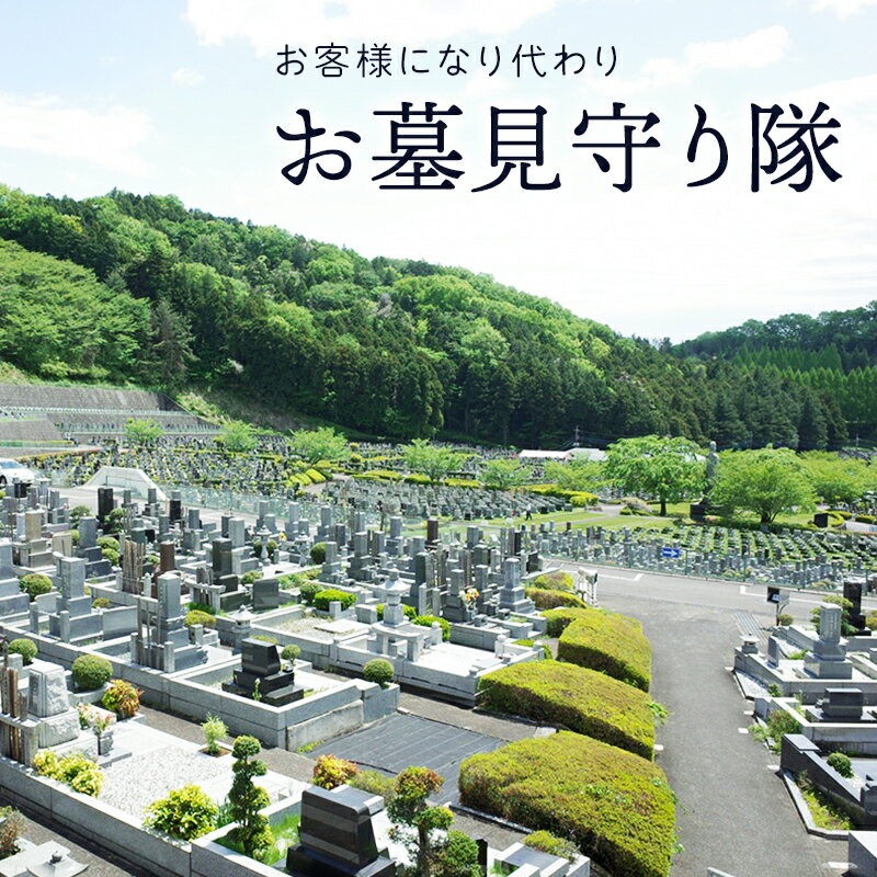 【ふるさと納税】お客様になり代わりお墓見守り隊　【 体験チケット お供え 簡易清掃 遠方 お墓清掃 お墓の掃除 】