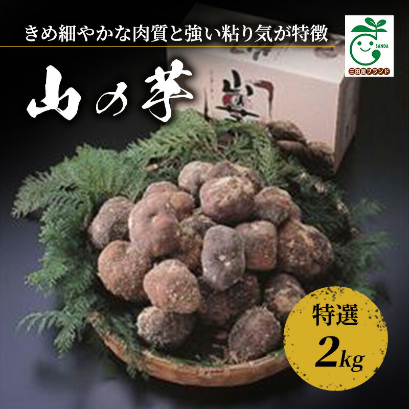 【ふるさと納税】三田特産山の芋　特選2kg　【 野菜 根菜 食材 栄養たっぷり 強い粘り 旬の野菜 国産 日本産 】　お届け：11月下旬～12月上旬の発送になります。