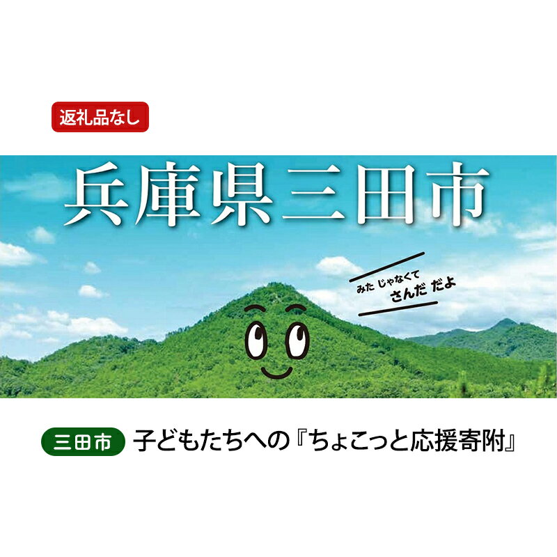 [返礼品なし]三田市 子どもたちへの『ちょこっと応援寄附』2,000円 [ 支援 自治体支援 お礼の品なし ふるさと支援 ふるさと応援 教育支援 子育て支援 ]