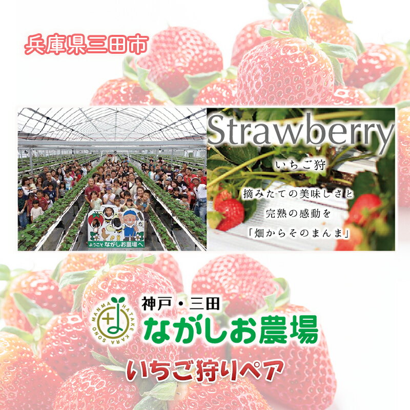 【ふるさと納税】神戸三田ながしお農場　いちご狩りペア券　【 体験チケット 体験型 お出かけ レジャー 春 子連れ 親子連れ 家族 ファミリー デート フルーツ狩り 果物狩り 】