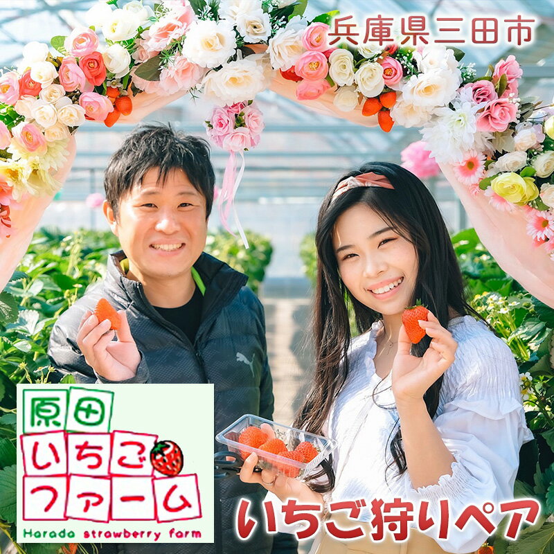 原田いちごファーム いちご狩りペア券 [ 体験チケット 体験型 お出かけ レジャー 春 子連れ 親子連れ 家族 ファミリー デート フルーツ狩り 果物狩り ]