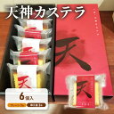 【ふるさと納税】天神 カステラ 6個入り ヤマオカ スイーツ デザート ギフト お祝い 贈答品 中元 歳暮 数量限定 期間限定 人気 ふるさと納税 ふるさと 人...