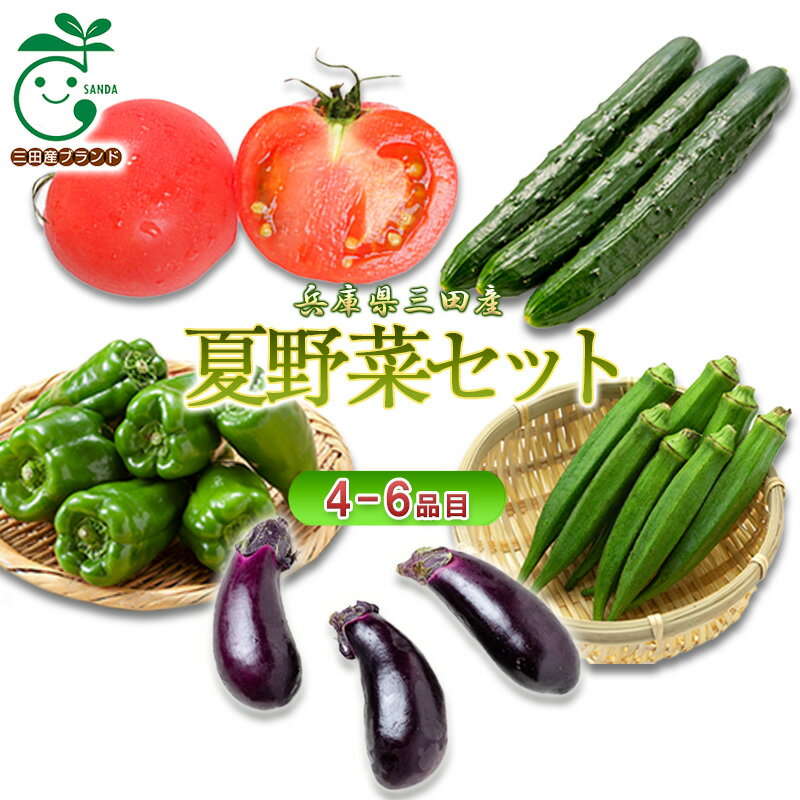 2位! 口コミ数「0件」評価「0」兵庫県三田産　おとうま農園が育てた夏野菜セット（4-6品目）　【三田市】　お届け：7月～9月にお届けします。