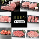 【ふるさと納税】【6ヶ月連続定期便】三田和牛 サーロインステーキ200g×4枚 ヒレステーキ150g×4 リブロースすきやき800g 特選焼肉800g こまぎれ...
