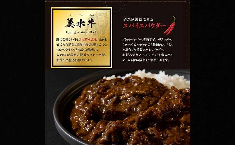 【ふるさと納税】 美水牛スーパースパイスビーフカレー 4箱セット 美水牛 レトルトカレー ギフト 人気 おすすめ 兵庫県 三田市 兵庫県[ 3d28bae590005 ] f282197-sanda-10000889 兵庫県三田市 サンプル画像3